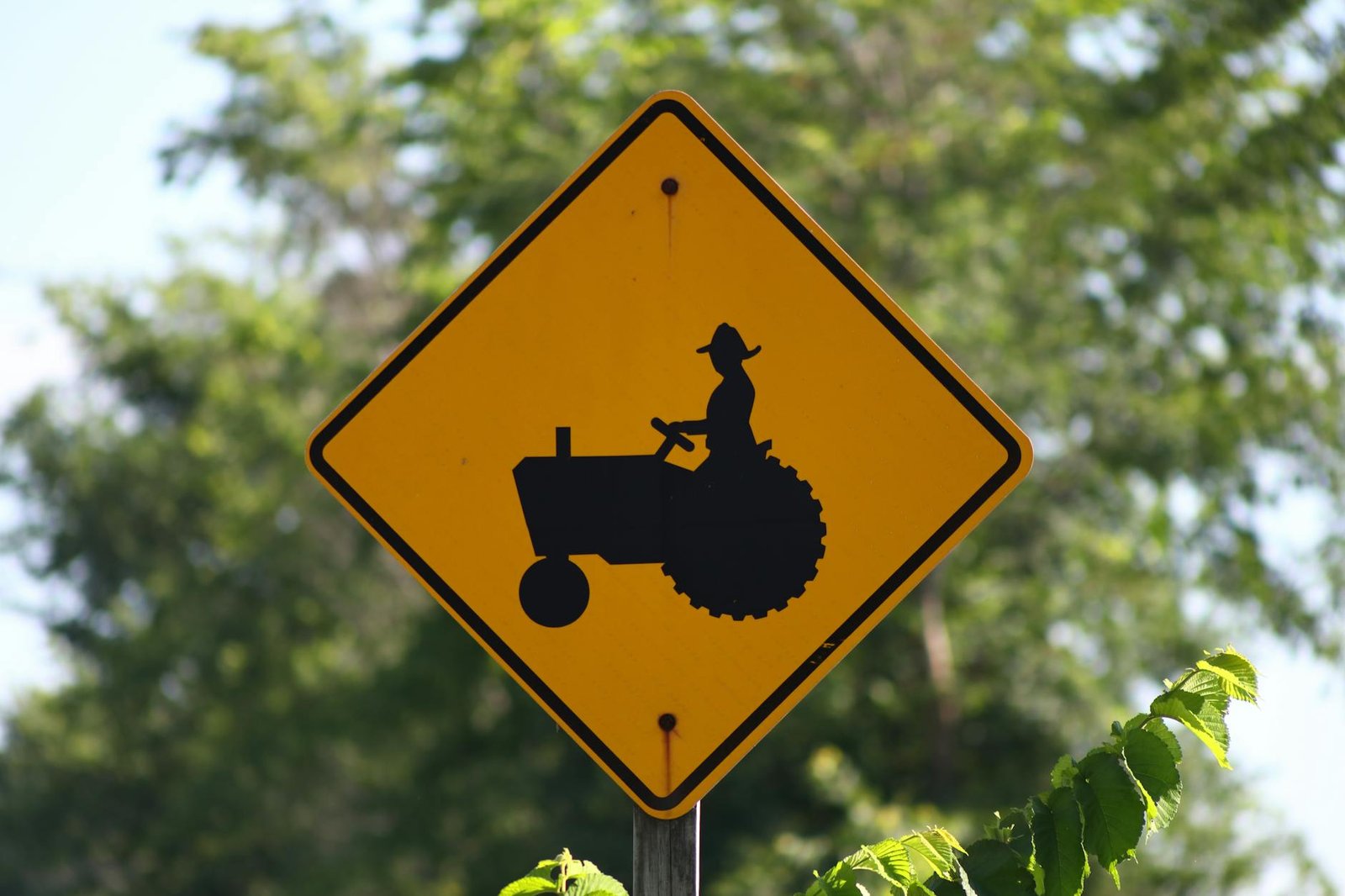 Ultimate Guide: How to Avoid Forex Scams in 2025